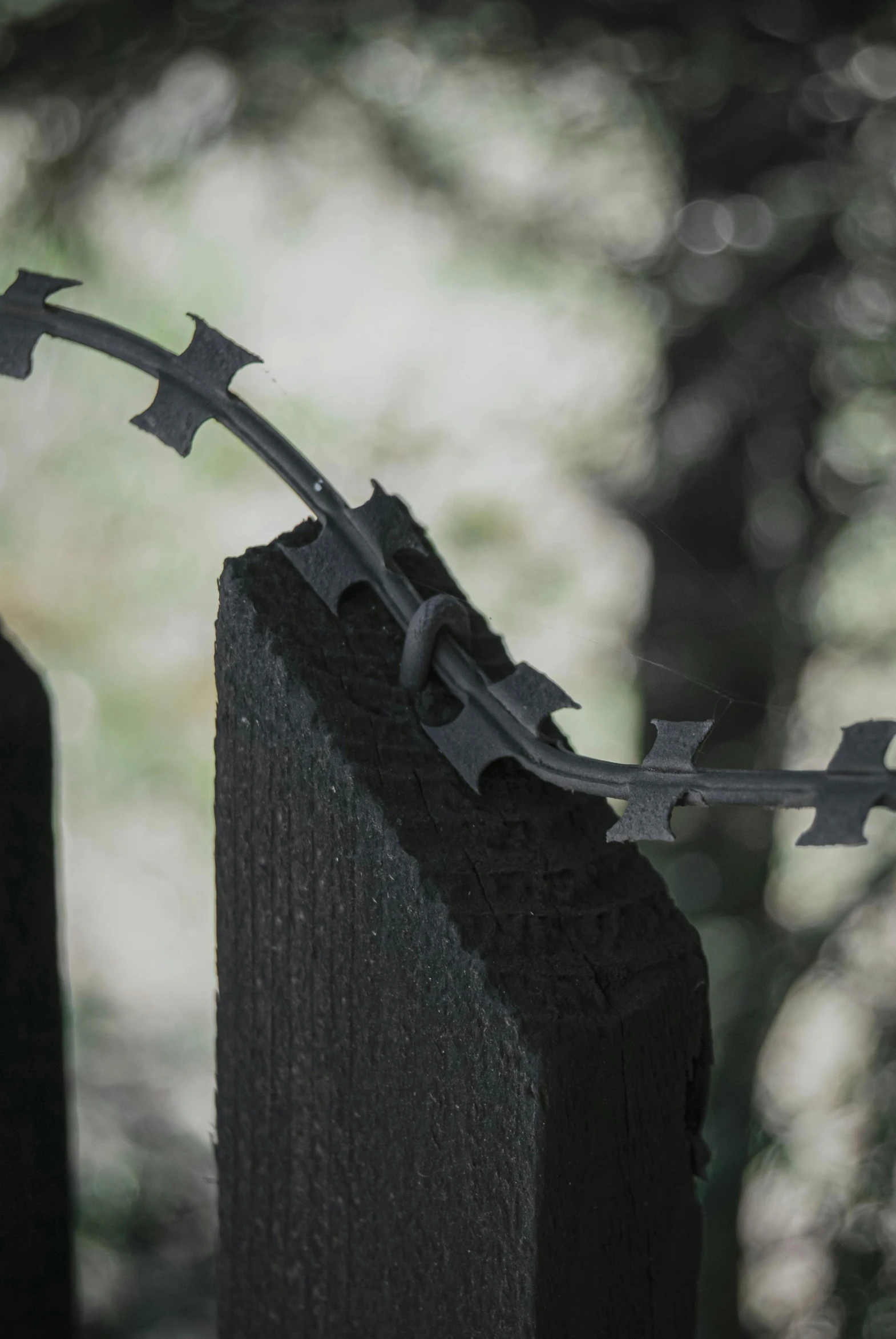 a close up of a fence with a barbed wire, profile image, crosses, metal art, serrated point