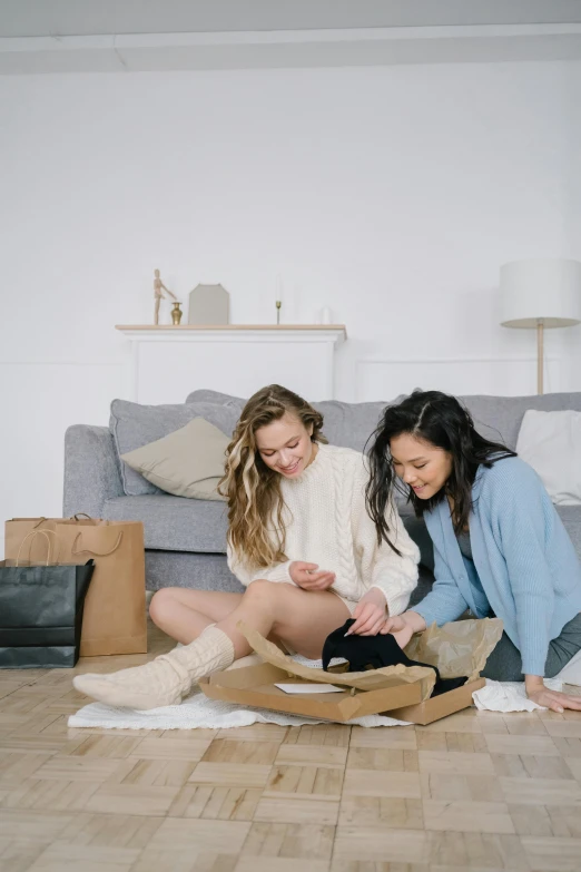 two women sitting on the floor looking at a laptop, by Eden Box, trending on pexels, slippers, presenting wares, happy friend, inspect in inventory image