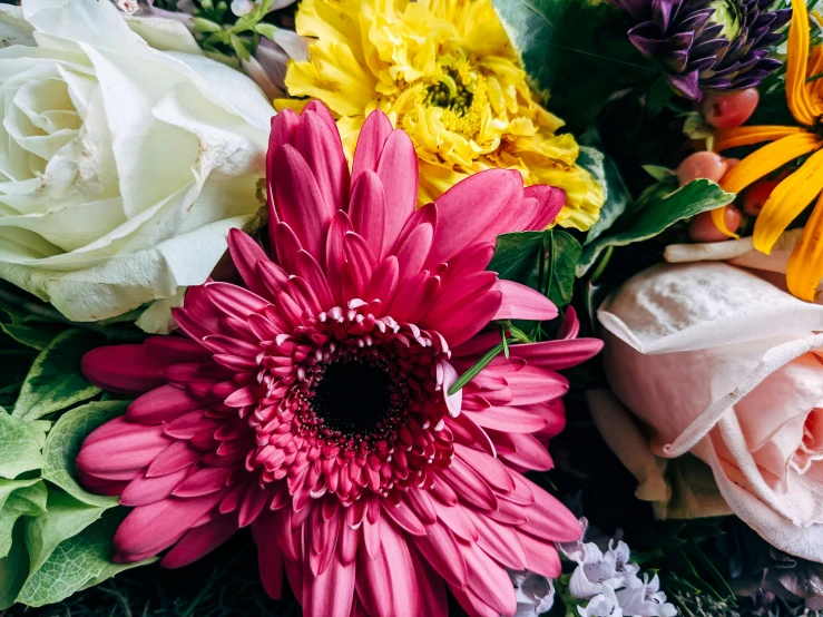 a close up of a bunch of flowers, vibrant accents, comforting, instagram post, mid view