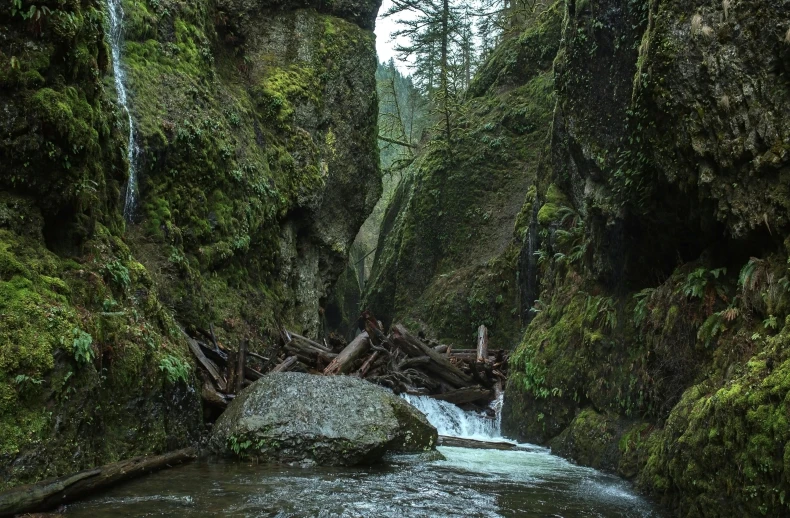 a river flowing through a lush green forest filled with trees, by Jessie Algie, pexels contest winner, inside a gorge, puyallup berteronian, with jagged rocks and eerie, thumbnail