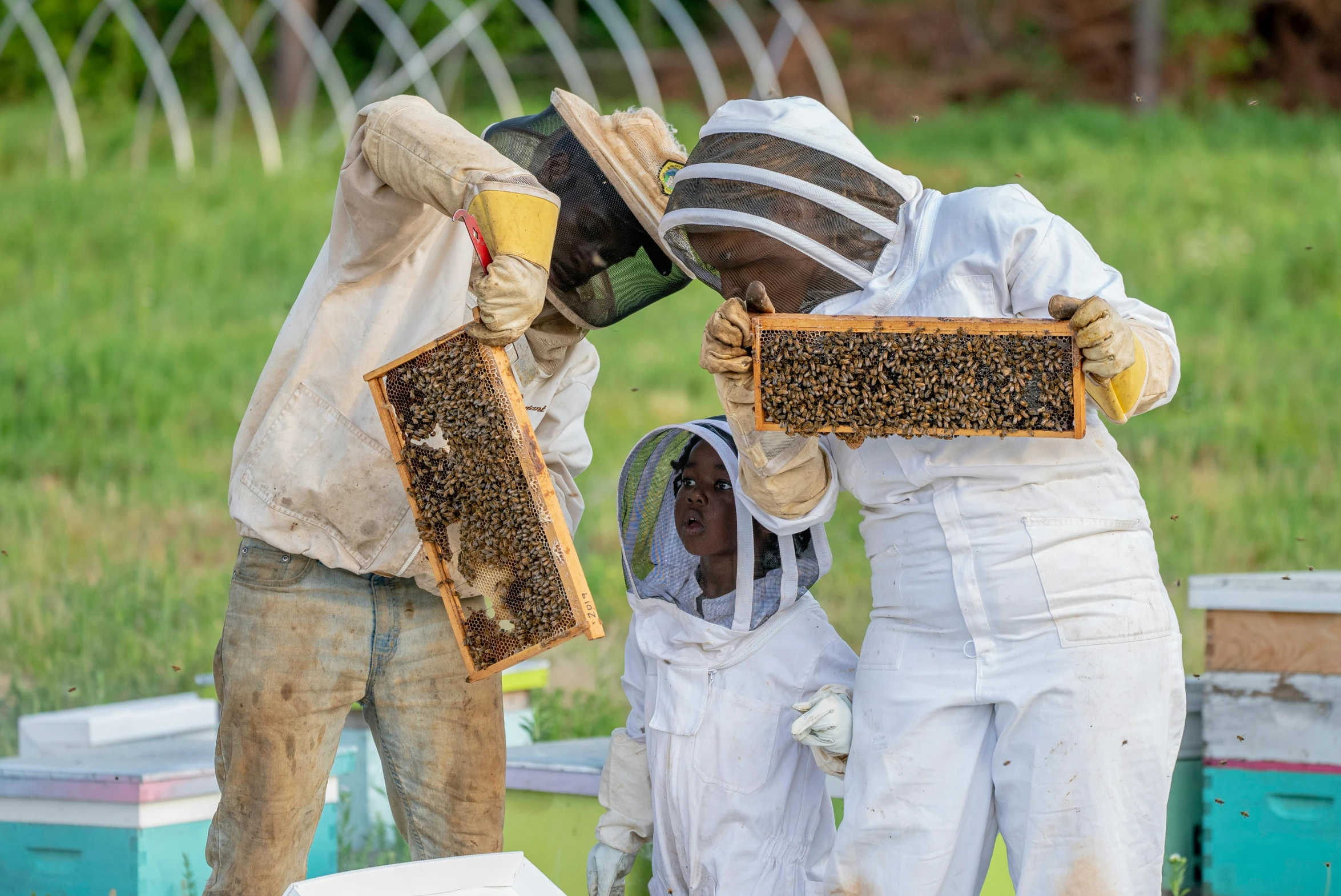 a group of people standing around a beehive, facing the camera