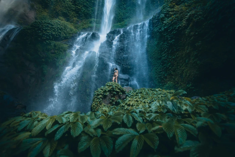 a person standing in front of a waterfall, inspired by Elsa Bleda, pexels contest winner, sumatraism, woman made of plants, avatar image, bird view, conde nast traveler photo