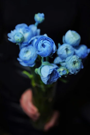 a person holding a vase filled with blue flowers, inspired by François Boquet, unsplash, detail shot, buds, ((blue)), black peonies