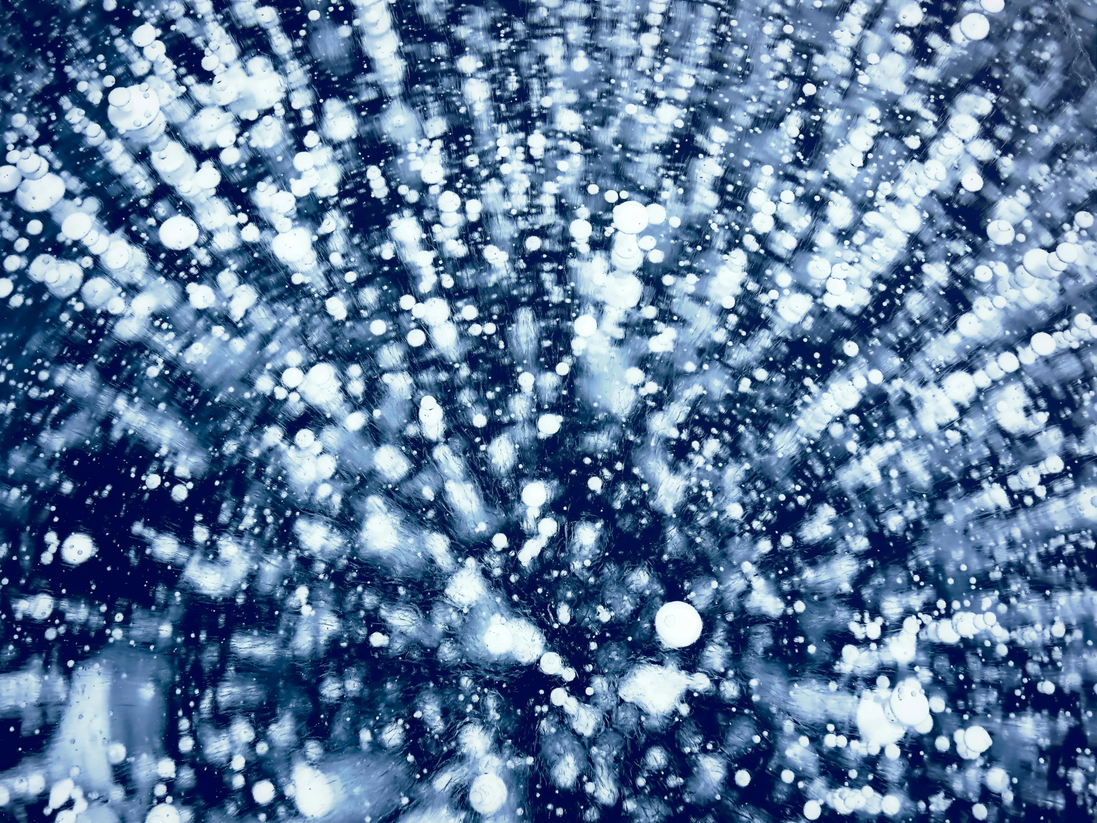 a black and white photo of a snow covered tree, a pointillism painting, inspired by Ross Bleckner, unsplash, kinetic pointillism, bursting with blue light, floating bubbles, closeup photo, cyanotype