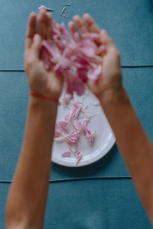 a person holding a plate with onions on it, by Carey Morris, pexels contest winner, process art, pink petals fly, tabletop, anjali mudra, still from film