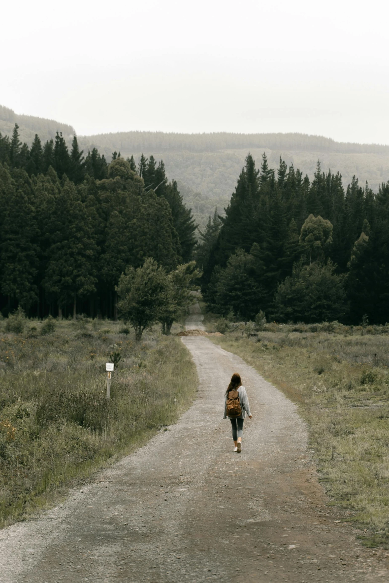 a person walking down a dirt road in the middle of a forest, grey skies, girl, valley, landscape photograph