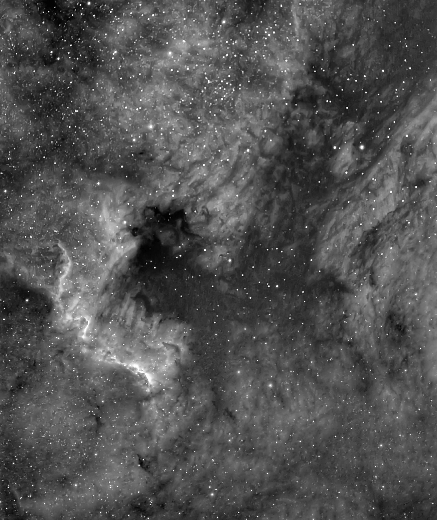 a black and white photo of a star filled sky, space art, colorful torn nebulas, truncated snout under visor, soft delicate draconic features, hastur