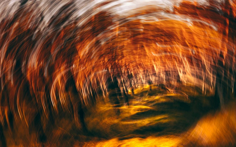 a blurry photo of a path through a forest, an abstract painting, by Mirko Rački, unsplash contest winner, orange spike aura in motion, brown, complex vortex, curved trees