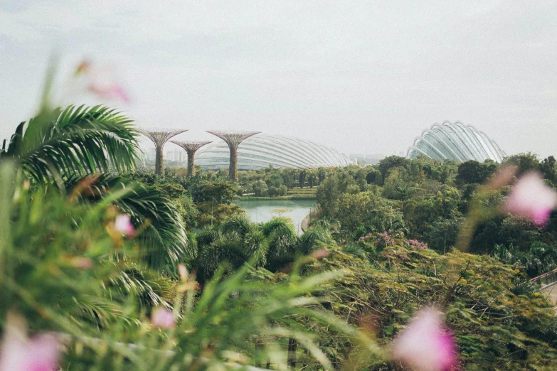 a view of the gardens from the top of a hill, inspired by Thomas Struth, pexels contest winner, cloud forest in background, sustainable architecture, biodome, neon jungle