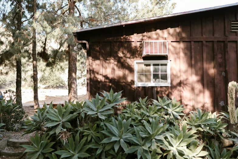 a building that has some plants in front of it, a photo, by Gwen Barnard, unsplash, stood outside a wooden cabin, in avila pinewood, hollister ranch, profile image