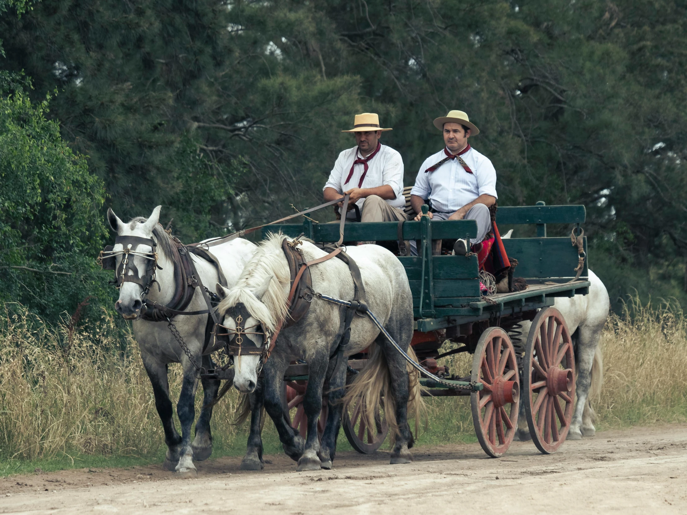 a couple of men riding on the back of a horse drawn carriage, by Peter Churcher, pexels contest winner, in avila pinewood, mine cart, avatar image, buenos aires