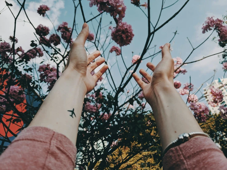 a person reaching up to a tree with pink flowers, trending on pexels, aestheticism, laying down with wrists together, 🌸 🌼 💮, sitting with wrists together, lo fi