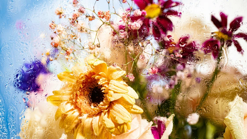 a bunch of flowers that are in a vase, by Lucia Peka, unsplash, renaissance, sunny meadow, splashes, hyperdetailed photograph, pink and yellow