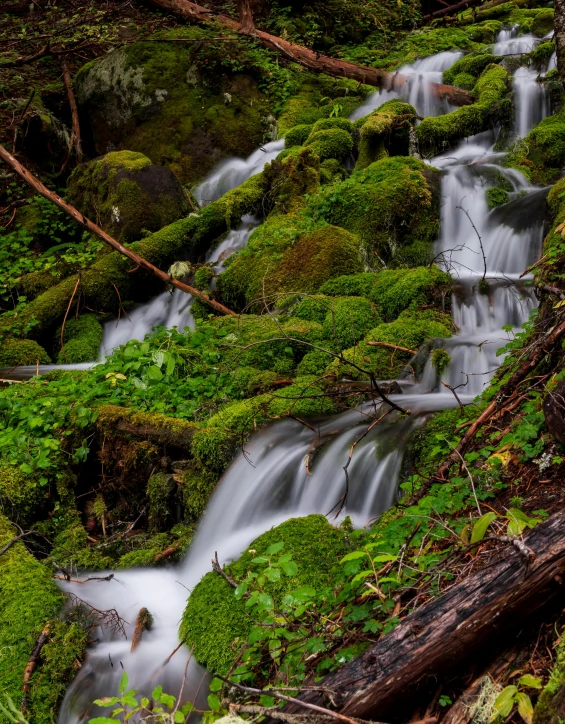 a stream running through a lush green forest, a picture, by Mandy Jurgens, unsplash contest winner, moist mossy white stones, cascading waterfalls, thumbnail, 8 k photo