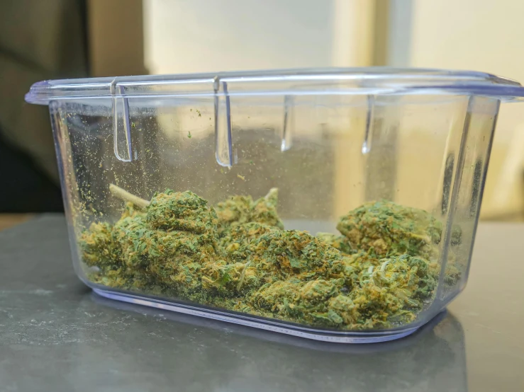a container filled with marijuana sitting on top of a table, profile image, greens), thumbnail, at the counter