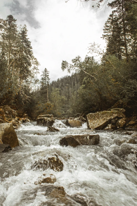 a river running through a forest filled with rocks, by Franz Hegi, unsplash, renaissance, salmon, low quality photo, germany. wide shot, white water