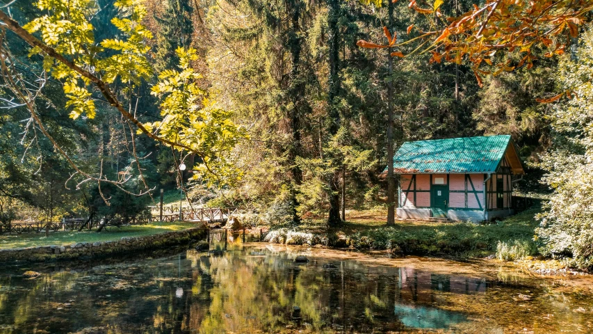 a small cabin sitting in the middle of a forest, by Julia Pishtar, pexels contest winner, renaissance, pink reflections, sitting at a pond, romanian, bright sunny day