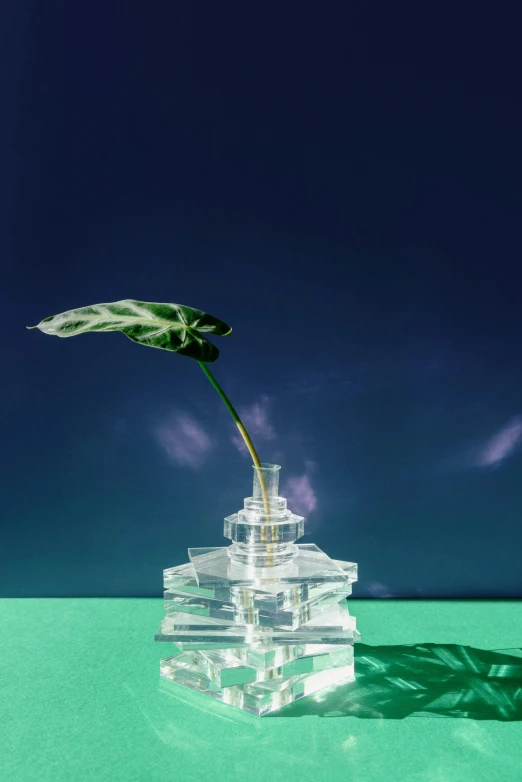 a close up of a glass vase with a plant in it, a surrealist sculpture, inspired by Méret Oppenheim, unsplash, floating island in the sky, architectural and tom leaves, shot with hasselblad, with a blue background