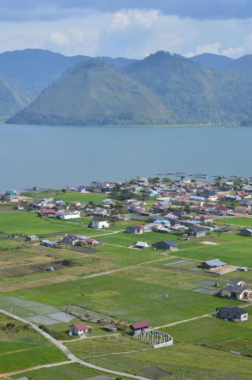 a large body of water sitting next to a lush green field, sumatraism, remote icelandic village, waterfront houses, township, commercially ready