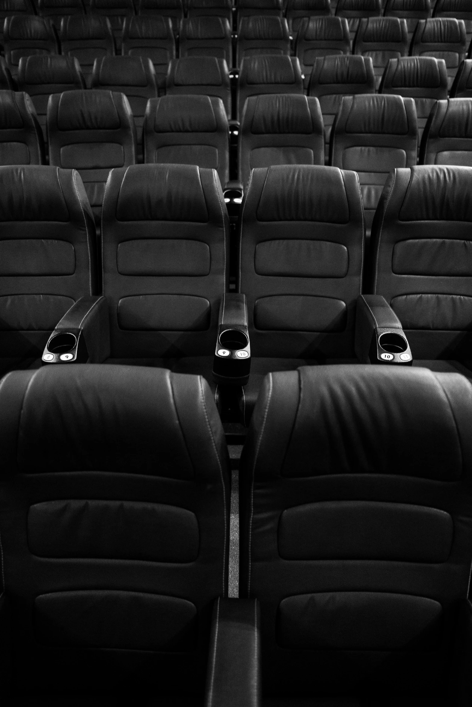 a black and white photo of rows of empty seats, a portrait, pexels, movie cover, leather interior, getty images, david fincher