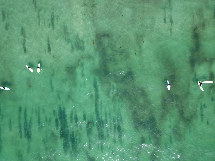 a group of people riding surfboards on top of a body of water, a screenshot, by Carey Morris, pexels contest winner, minimalism, the emerald coast, ocean floor, liquid shadows engulf, you see fishes