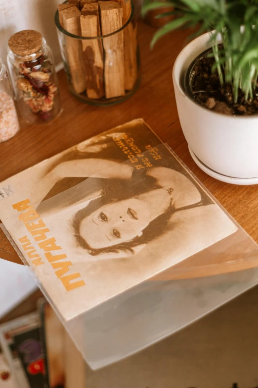 a book sitting on top of a wooden table next to a potted plant, an album cover, inspired by Winona Nelson, private press, restaurant menu photo, transparent, brown, vintage film