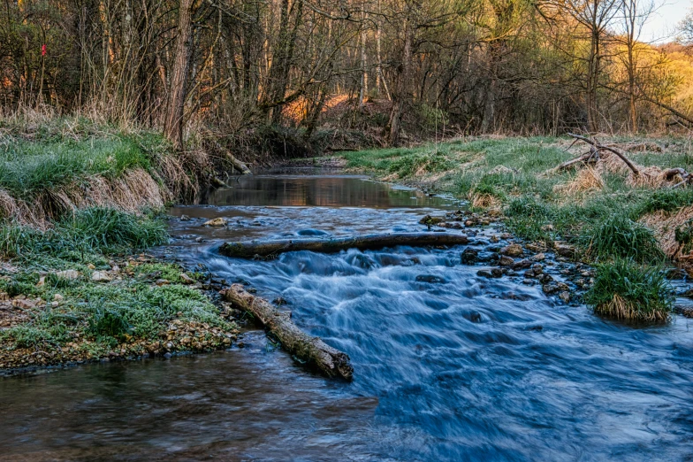 a stream running through a lush green forest, a picture, by Thomas Häfner, pexels contest winner, evening time, blue, brown, thumbnail