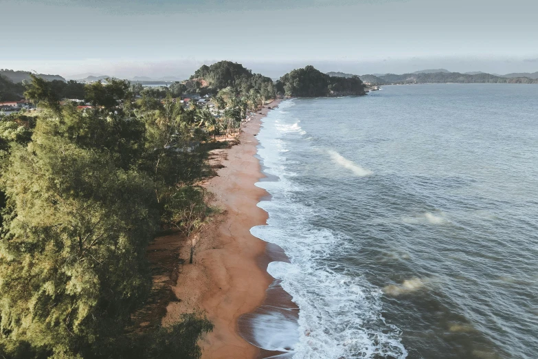 a beach lined with lots of trees next to a body of water, pexels contest winner, red sand, flatlay, coastline, rendered in corona