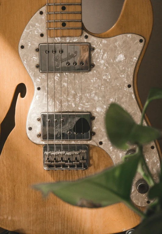a guitar sitting on top of a table next to a plant, trending on pexels, modernism, vintage closeup photograph, front lit, mixed materials, 5 0 s aesthetic