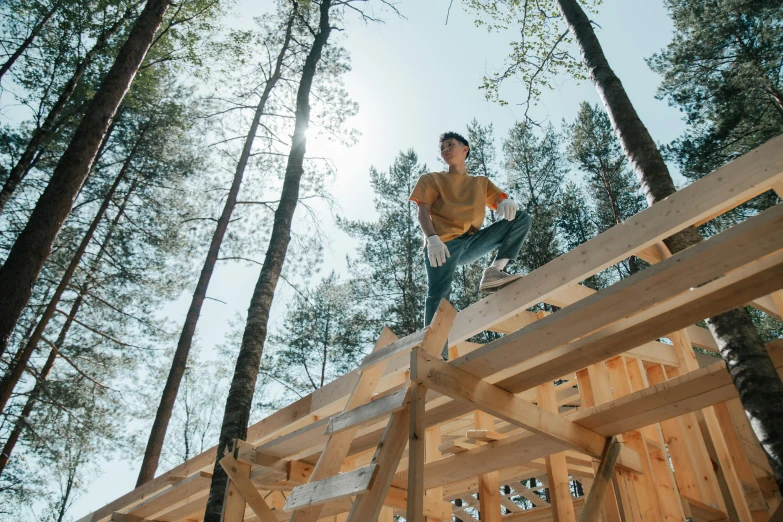 a man riding a skateboard on top of a wooden structure, forestry, profile image, truss building, thumbnail