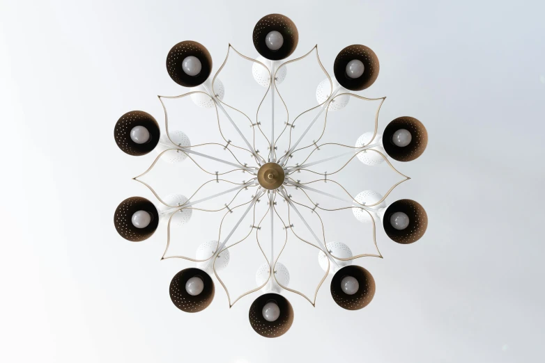 a chandelier in the shape of a flower, an album cover, inspired by André Charles Biéler, unsplash, kinetic art, hyperrealistic symmetrical 8k, radiolaria, lamps and flowers, high - angle view