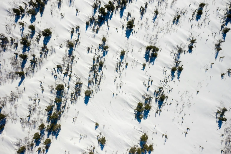 a group of people riding skis down a snow covered slope, by Matthias Weischer, land art, lot of trees, seen from a plane, thumbnail, new mexico