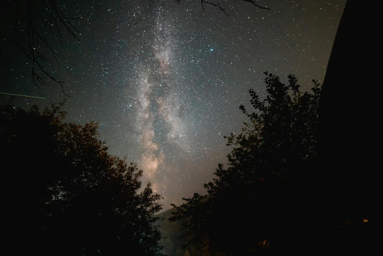 the milky shines brightly in the night sky, pexels contest winner, 2 5 6 x 2 5 6 pixels, brown, high quality photo, trees and stars background