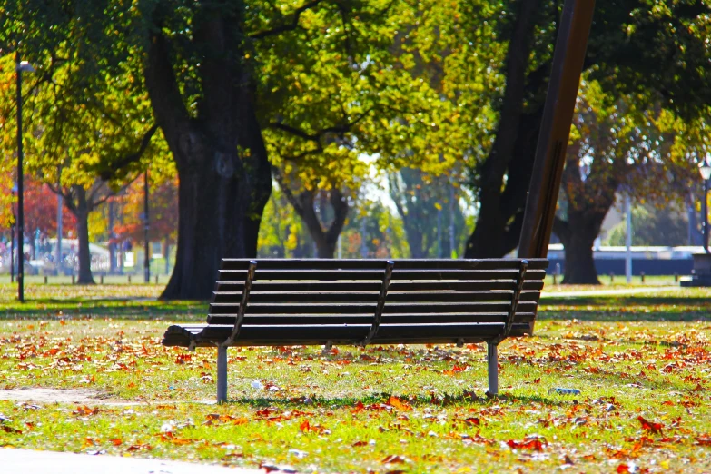 a wooden bench sitting in the middle of a park, a photo, caulfield, in autumn, profile image, square