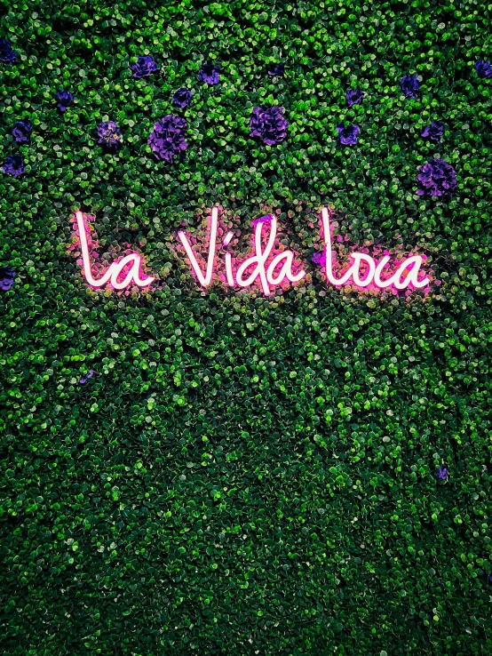 a neon sign sitting on top of a lush green wall, by Gina Pellón, lv, 👰 🏇 ❌ 🍃, lada, illuminating the area