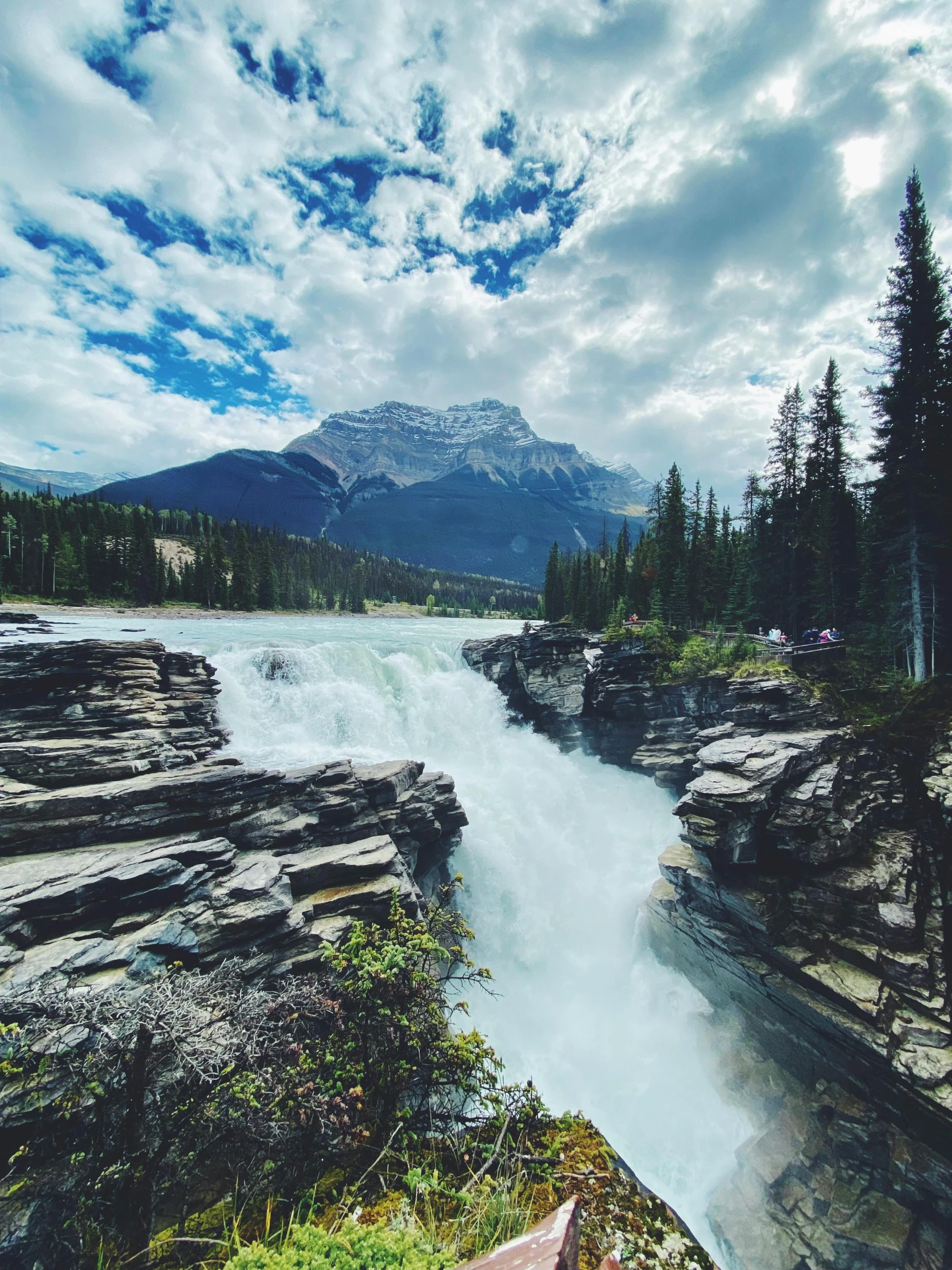 a river flowing through a lush green forest filled with trees, inspired by James Pittendrigh MacGillivray, pexels contest winner, banff national park, immense waterfall, slide show, epic land formations