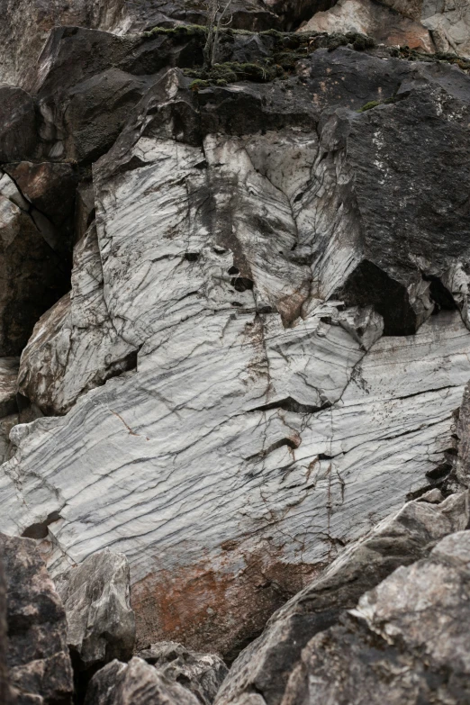 a piece of rock sitting on top of a pile of rocks, detailed veiny muscles, tree bark texture, inside a gorge, glacier