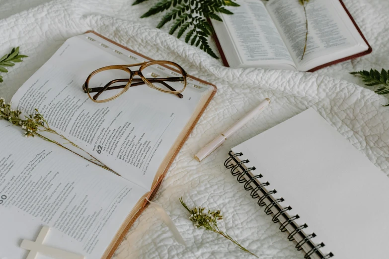 an open book sitting on top of a bed next to a pair of glasses, by Carey Morris, trending on pexels, notebook, plants in glasses, white robe with gold accents, thumbnail