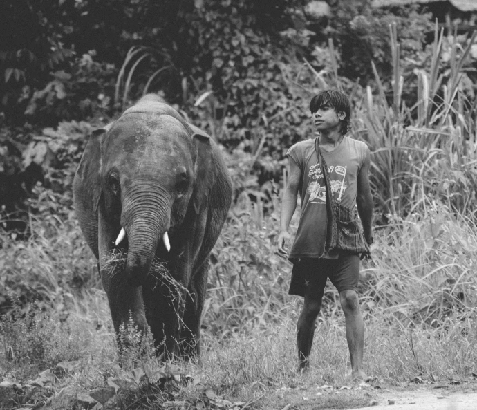 a man standing next to an elephant in a field, a black and white photo, sumatraism, walking around in forest, animals in the streets, teenage boy, portait image