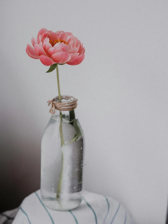 a close up of a vase with a flower in it, unsplash, hyperrealism, glass bottle, pink flower, low quality photo, peony