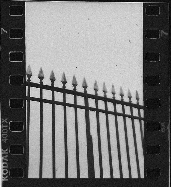 a black and white photo of a fence, inspired by Arnold Newman, super 8mm, ornate spikes, 5 0 mm 1 9 4 6 historical photo, :: morning
