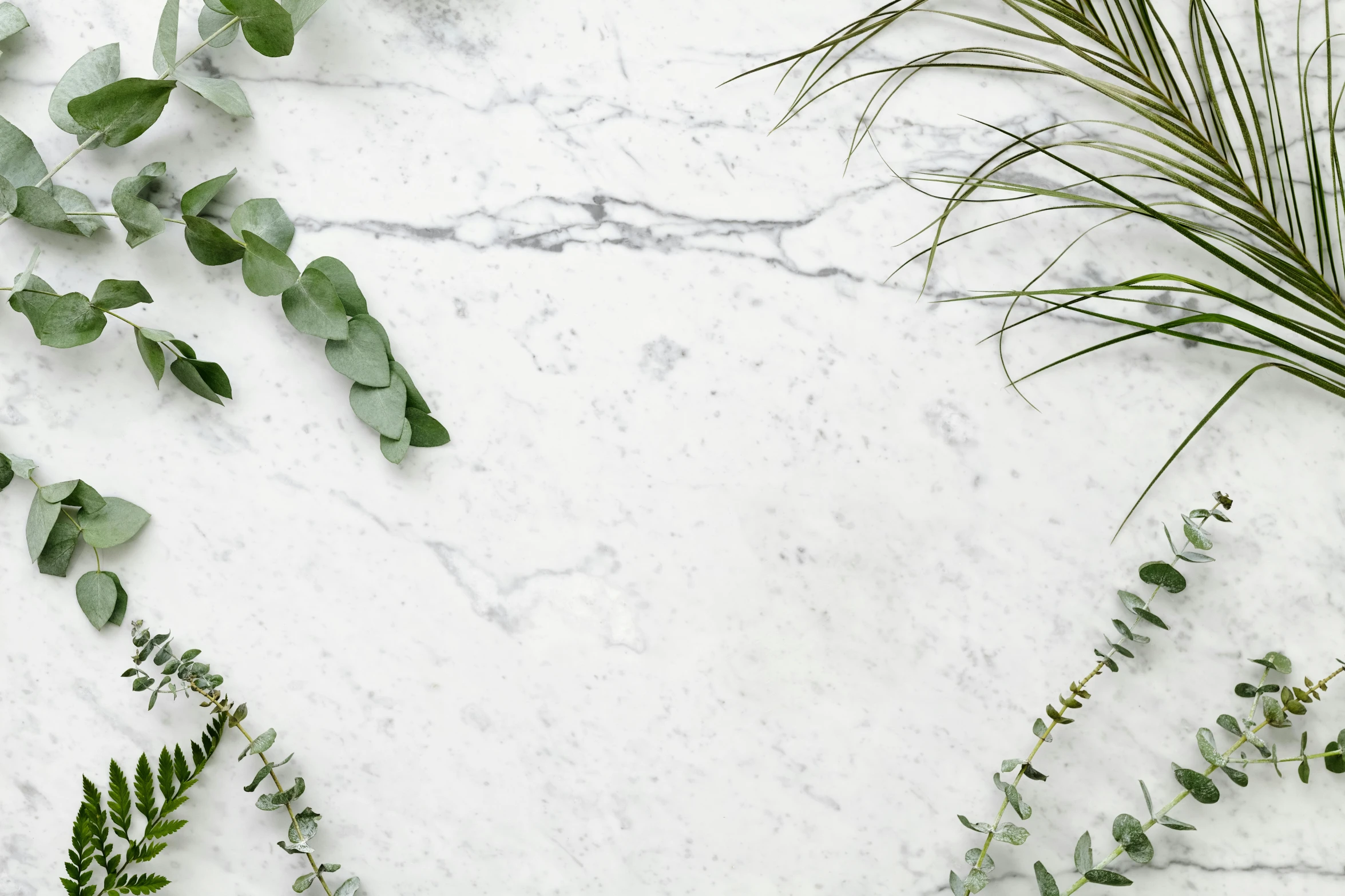 a close up of a plant on a marble surface, trending on pexels, made of carrara marble, covered in plants, photo - realistic wallpaper, silver，ivory