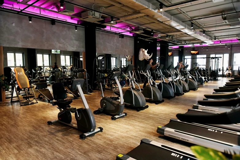 a gym with rows of stationary exercise bikes, utrecht, profile image, lit up, fully body photo