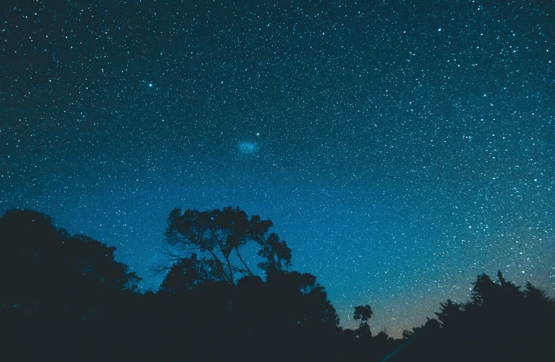 a night sky filled with stars and trees, an album cover, unsplash contest winner, cloudless sky, southern cross, blue and green light, outdoor photo