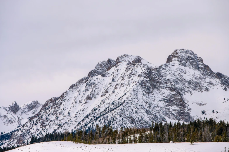 a group of people riding skis on top of a snow covered slope, unsplash, visual art, wyoming, detailed trees and cliffs, panorama, fine art print