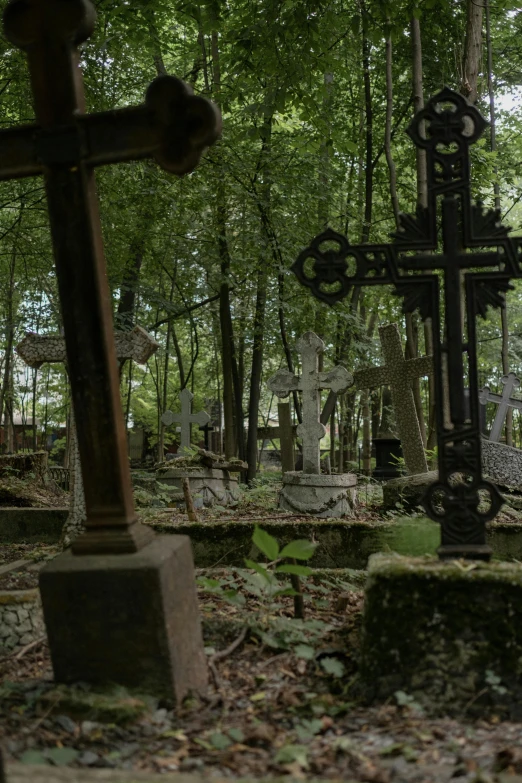 a group of crosses sitting in the middle of a forest, necropolis, cinematic shot ar 9:16 -n 6 -g, alexey egorov, panorama