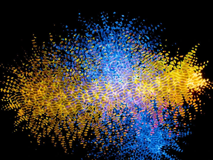 a colorful explosion of colored powder on a black background, a digital rendering, by Jan Rustem, kinetic pointillism, blue and yellow fauna, made of dots, golden hour firefly wisps, abstract art representing data