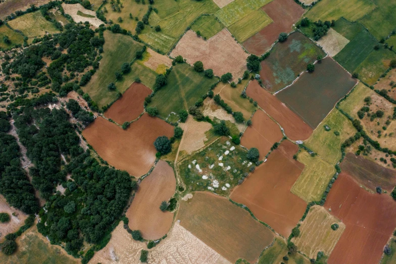 an aerial view of a field of crops, an album cover, pexels, land art, campsites, southern european scenery, patchwork, photo from the dig site