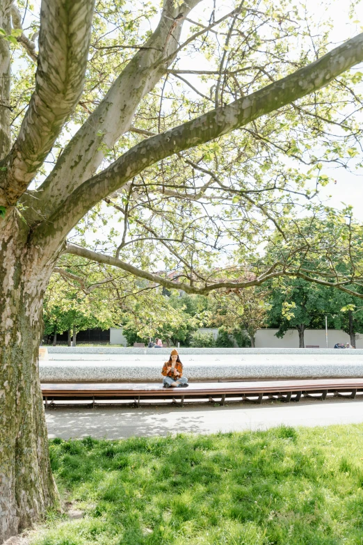 a person sitting on a bench under a tree, frank gehry, ultrawide landscape, melbourne, padmasana