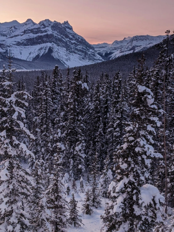 a man riding skis down a snow covered slope, a photo, inspired by James Pittendrigh MacGillivray, overlooking a valley with trees, banff national park, predawn, photograph taken in 2 0 2 0